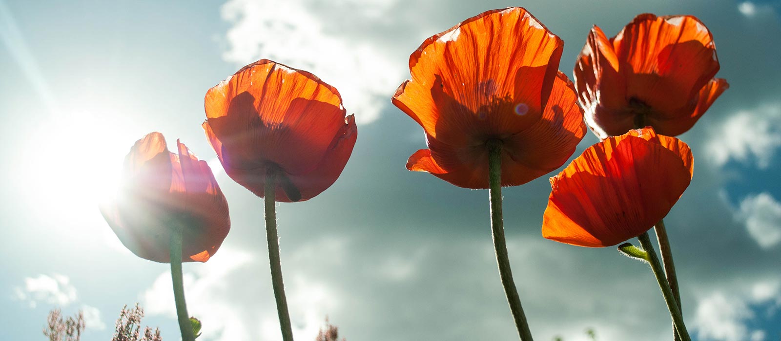 防水現場の写真